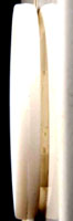 model13Gap